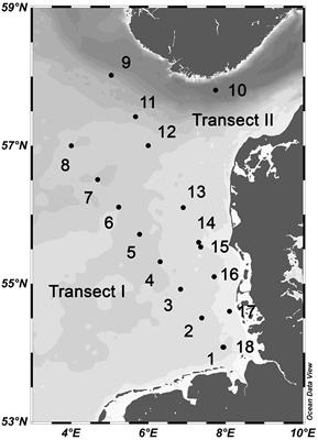 Composition of Total and Cell-Proliferating Bacterioplankton Community in Early Summer in the North Sea – Roseobacters Are the Most Active Component